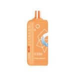 ELFBAR EW16K PEACH MEDLEY