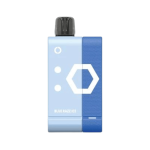 ELFBAR EW 9000  KIT BLUE RAZZ