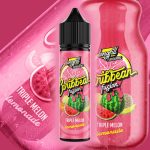 VAPOLOGY NIC SALT AROMA 60ML TRIPLE MELON LEMONADE