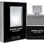 INTENSE SILVER 100ML FRAGRANCE WORLD