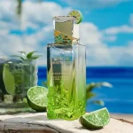 MOJITO OBSESSION BY GULF ORCHID 100ML