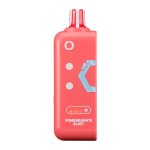 ELFBAR EW16K POMGARANATE BLAST ICE