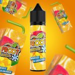 VAPOLOGY NIC SALT AROMA 60ML MANGO ORANGE