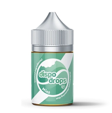 Screenshot_17-4-2026_134819_www.bing.com DISPO DROPS SALT NIC AROMA 60ML MINT - Image 1