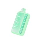 ELFBAR BC30000 DOUBLE MINT