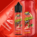 VAPOLOGY NIC SALT AROMA 60ML STRAWBERRY LEMONADE